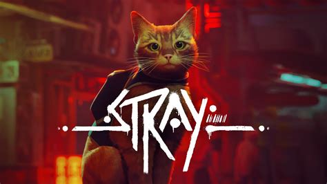 Stray.
